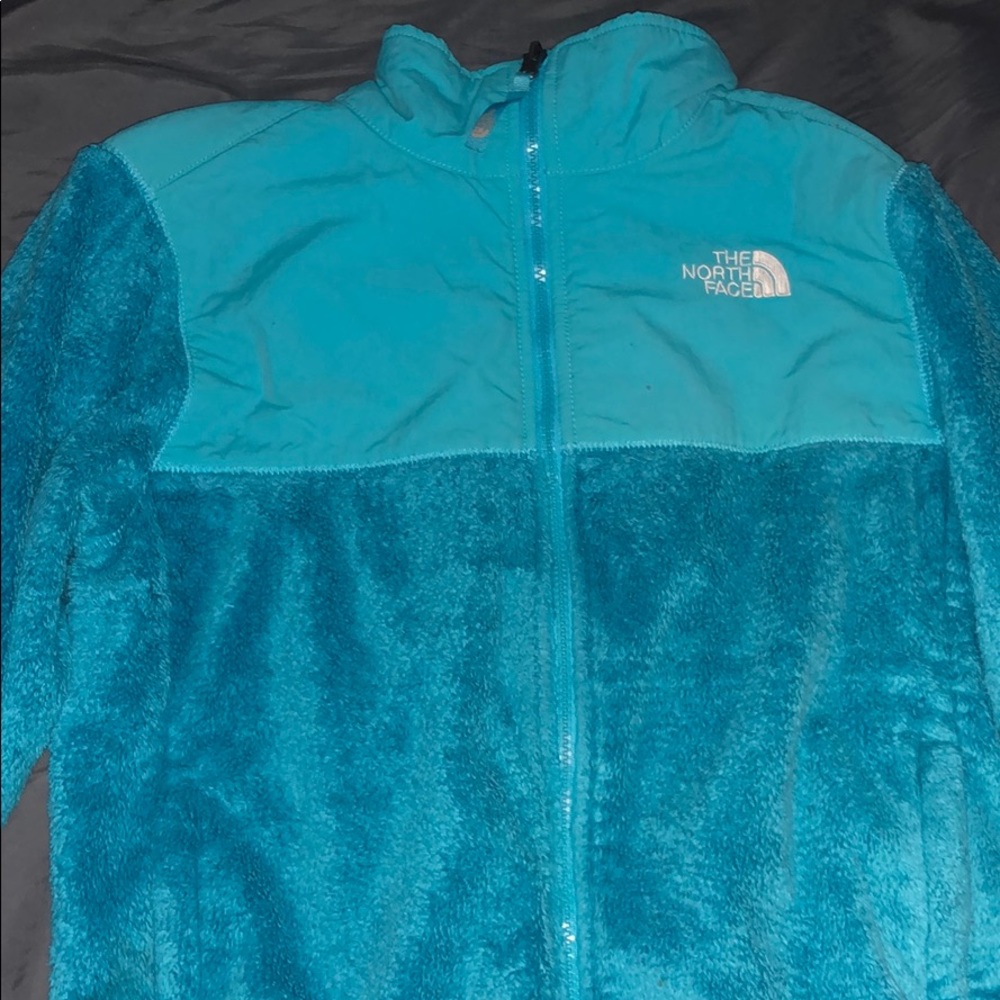 Blue North Face Fleece Jacket